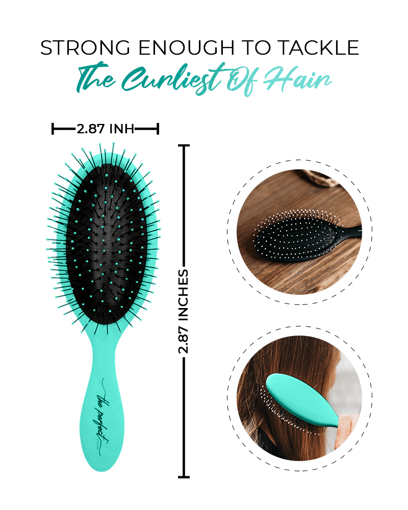 Shop Wet-N-Dry Detangling Hair Brush at CALA Products