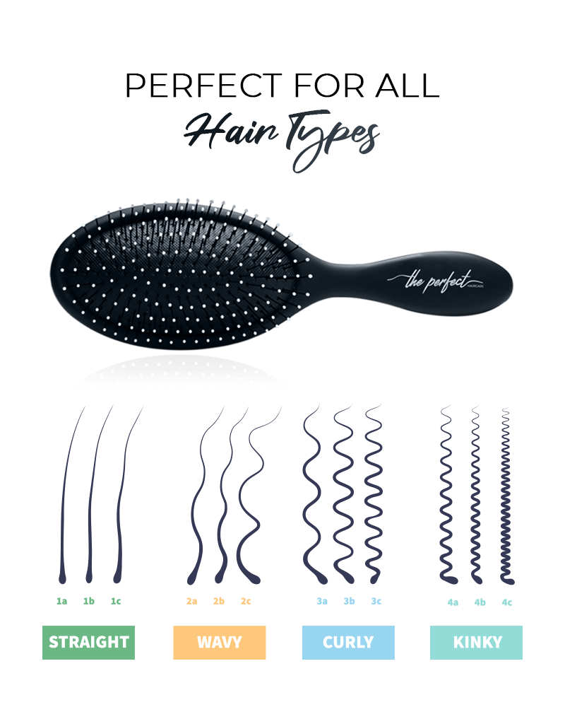 Black Detangling Hairbrush for Wet and Dry Hair The Perfect Haircare